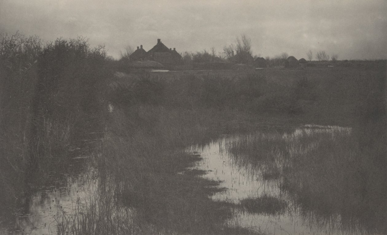 La frangia della palude, 1886 (foto) da Thomas Frederick Goodall