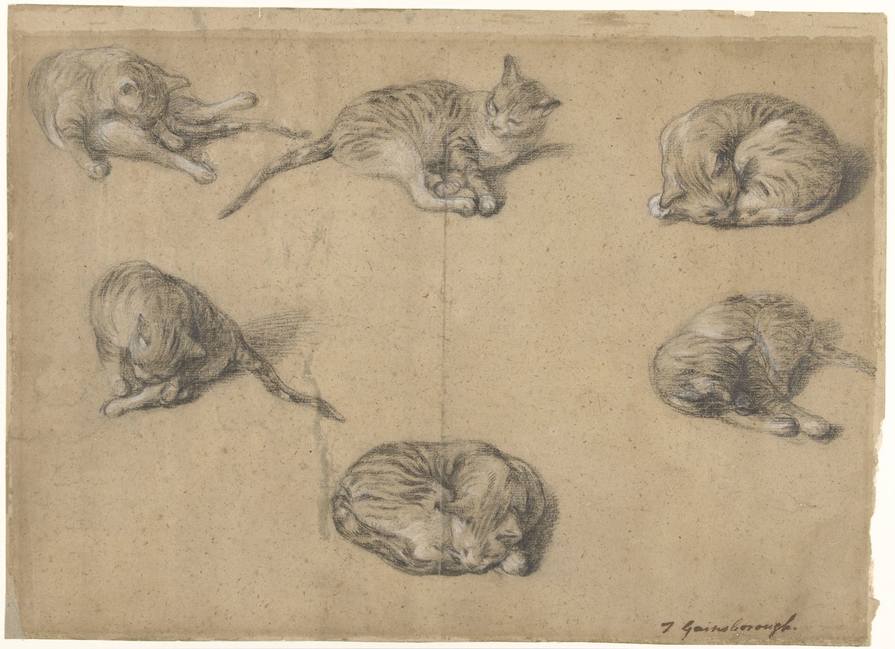Sei studi di un gatto da Thomas Gainsborough