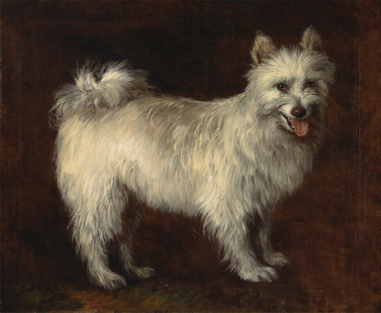 Cane Spitz da Thomas Gainsborough