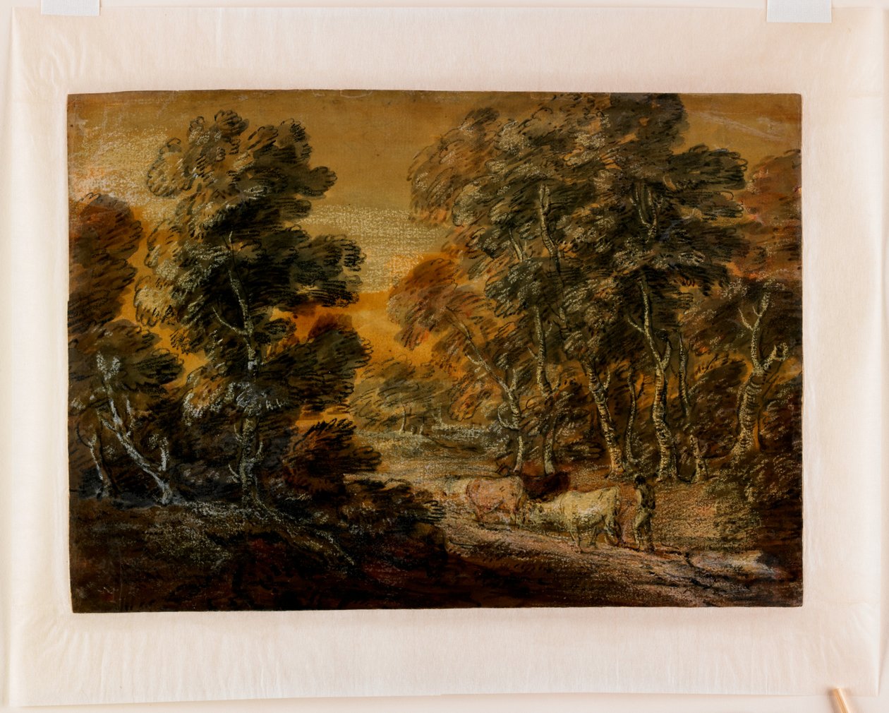 Paesaggio boscoso con pastore e bestiame, c.1770 (gesso nero e bianco, verniciato) da Thomas Gainsborough