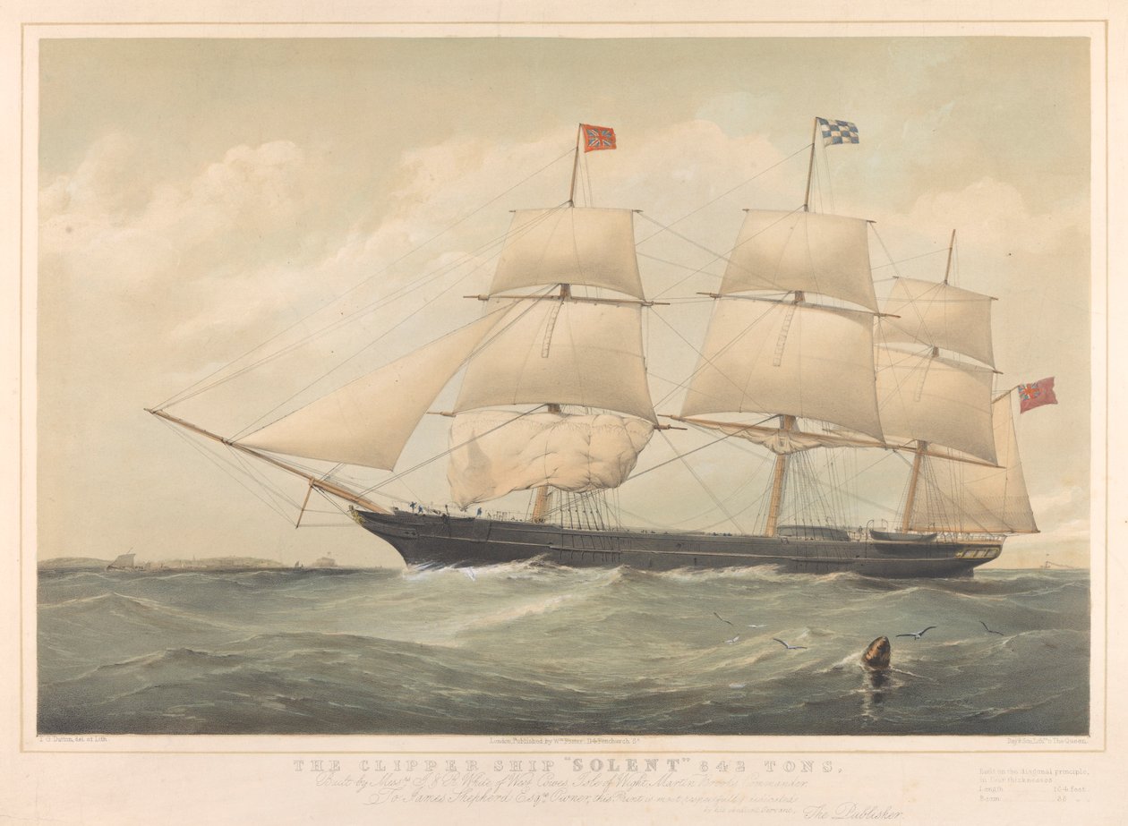 Il clipper 