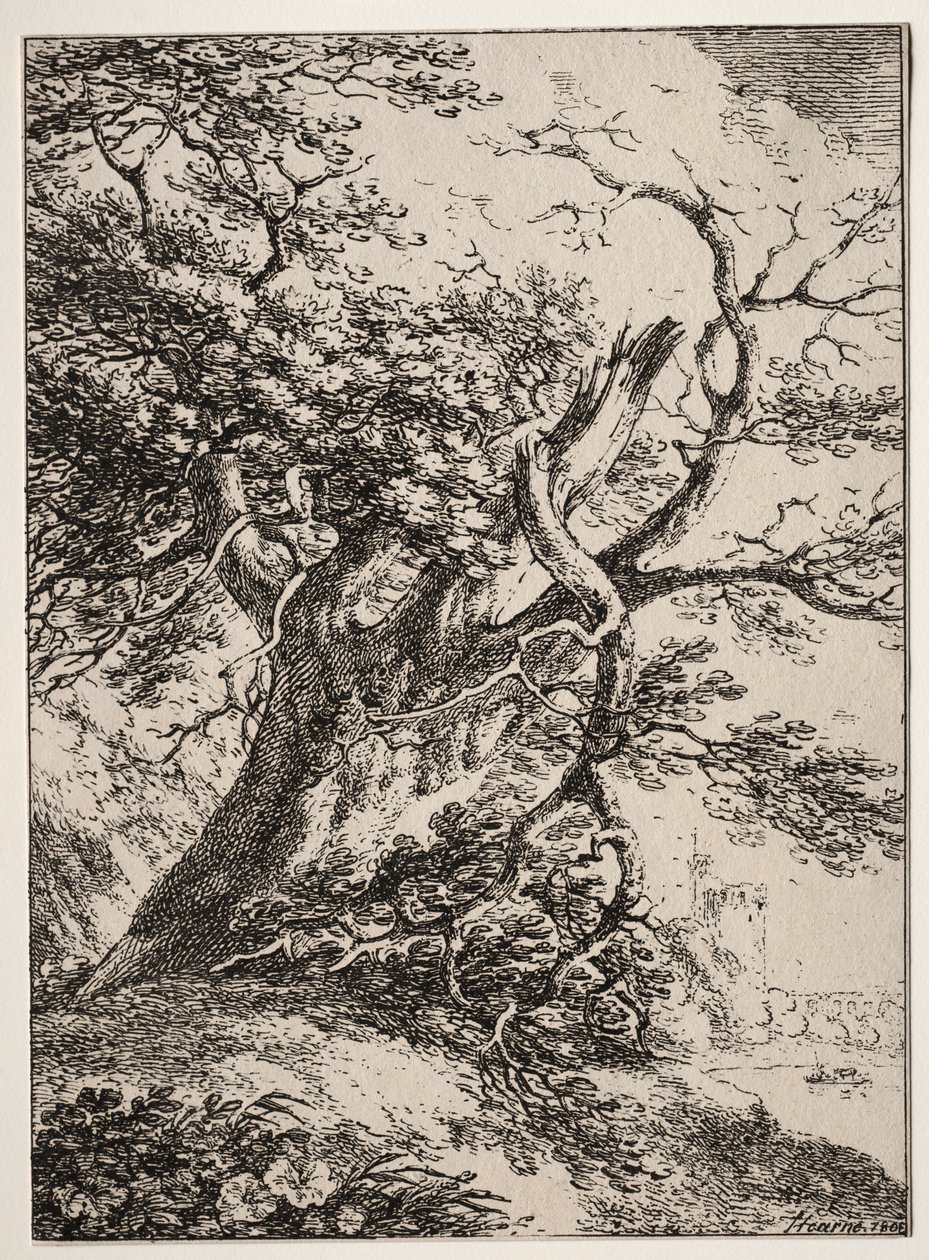 Esemplari di Poliautografia: Paesaggio con una quercia da Thomas Hearne