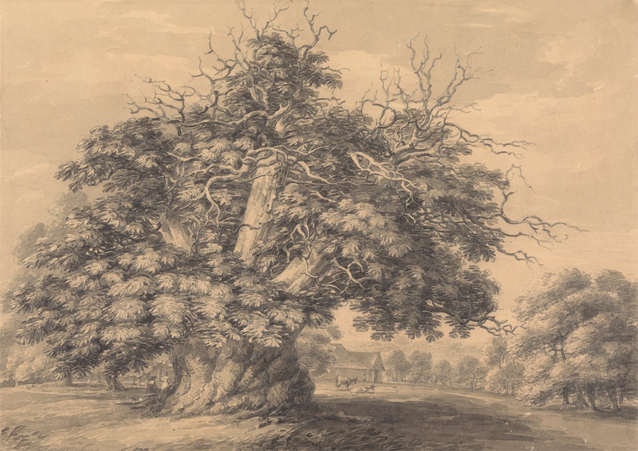 Il castagno a Little Wymondley, Hertfordshire da Thomas Hearne