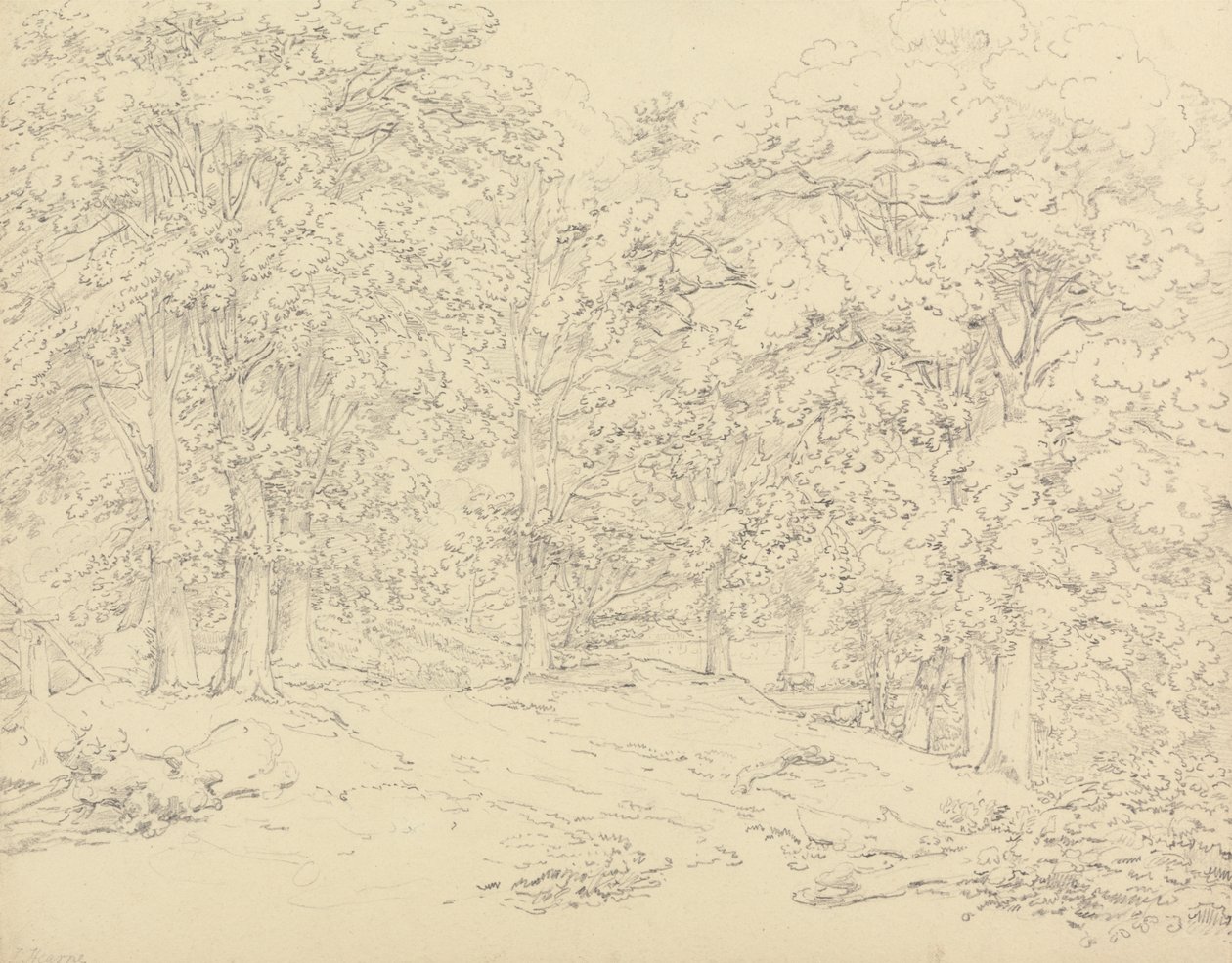 Alberi nel parco di Ashtead, Surrey da Thomas Hearne