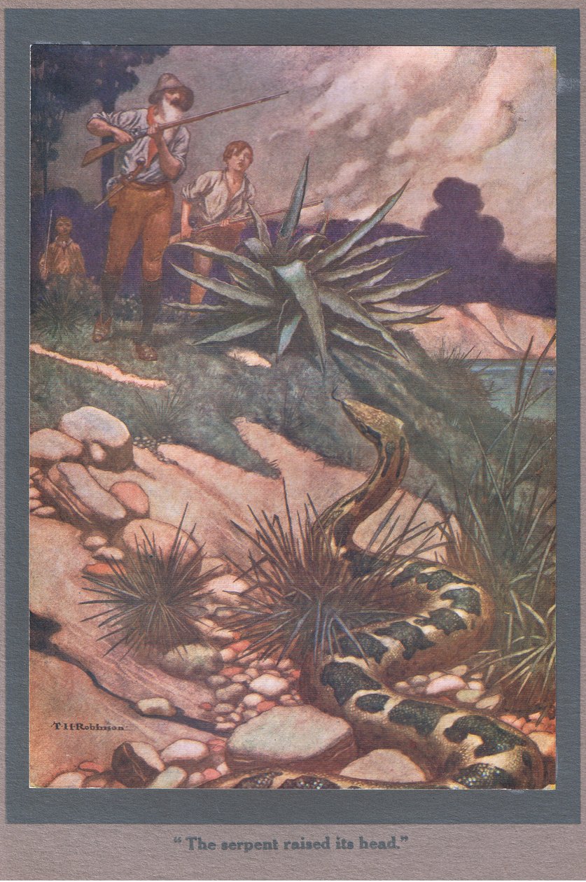 Il serpente alzò la testa (litografia a colori) da Thomas Heath Robinson