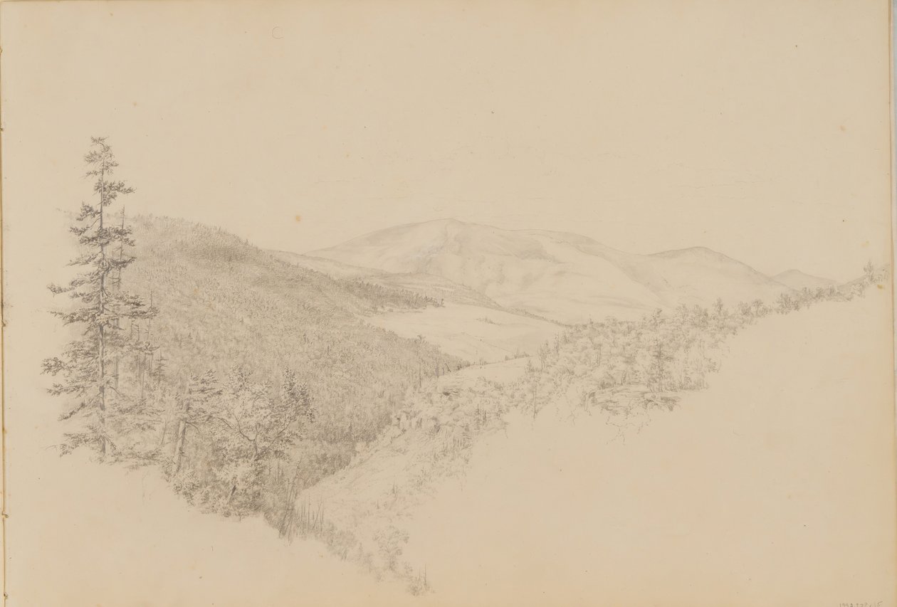Kauterskill Clove dal Taccuino di Paesaggi e Soggetti Animali, ca. 1860-64 da Thomas Hewes Hinckley