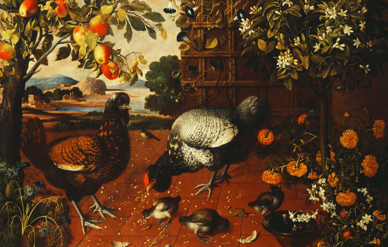 Un gallo, una gallina e pulcini in un cortile da Thomas Hiepes