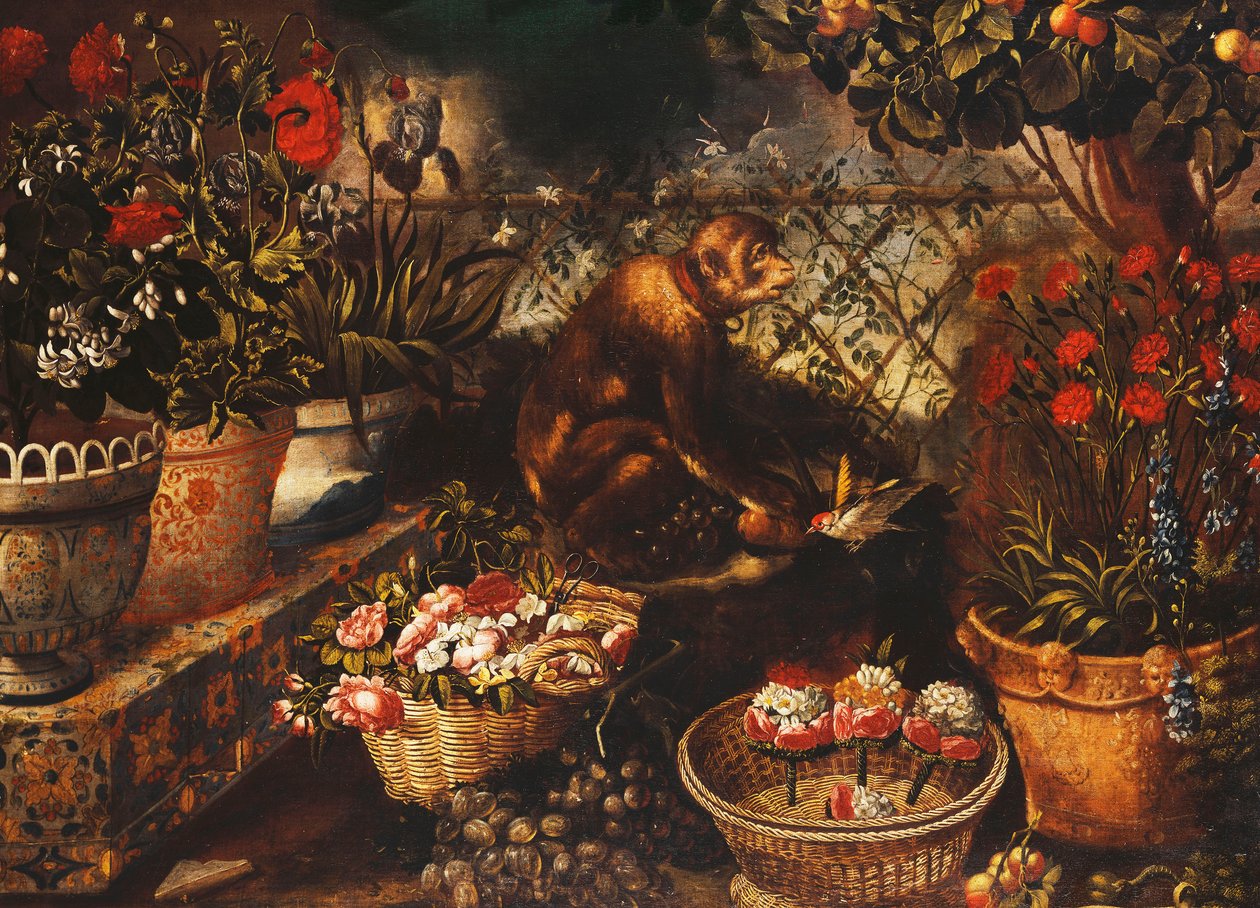 Una scimmia in un giardino recintato da Thomas Hiepes
