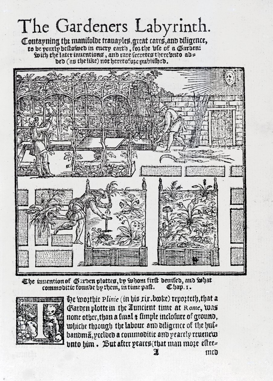 Pergolato costruito come ombra contro il sole e piantagione in aiuole rialzate, da The Gardeners Labyrinth, 1577 da Thomas Hill