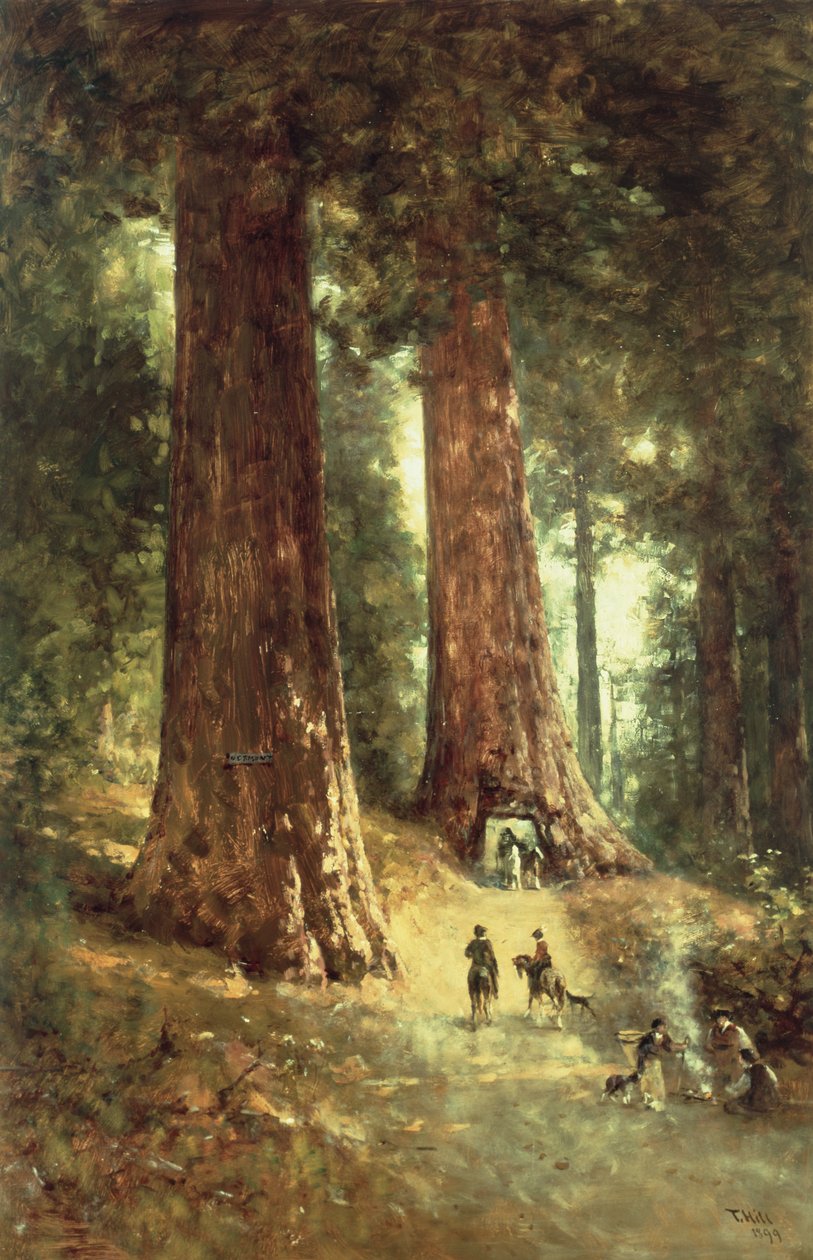 Nelle sequoie, 1899 da Thomas Hill