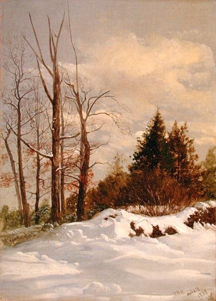 Paesaggio Invernale di Catskill da Thomas Hiram Hotchkiss