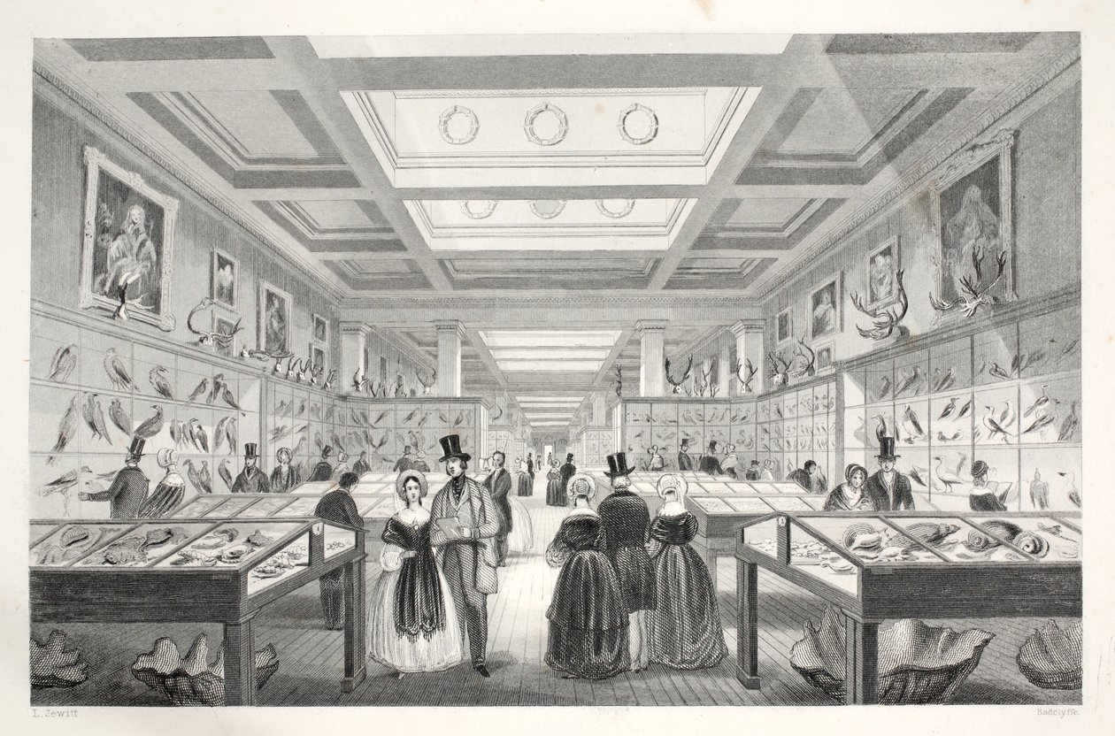 Museo Britannico, Galleria Zoologica, da 