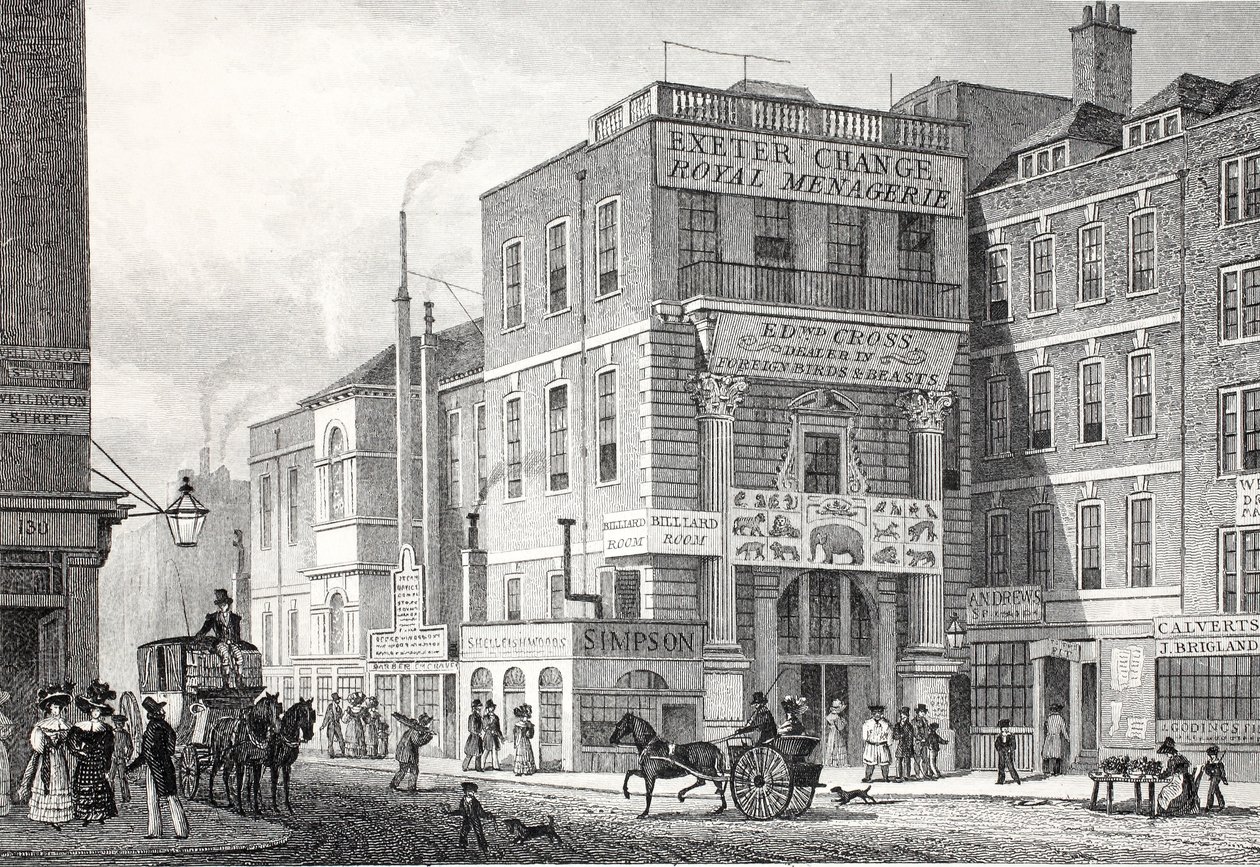 Exeter Change, Strand, da 