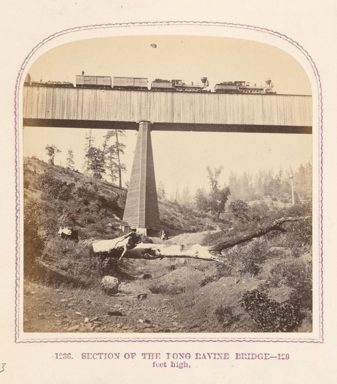 Sezione del ponte di Long Ravine da Thomas Houseworth