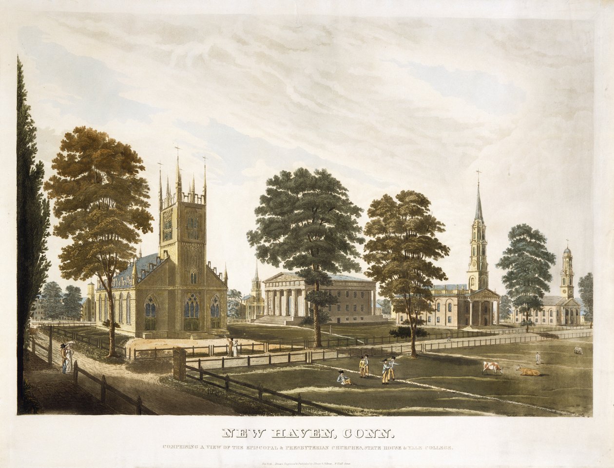 New Haven, Conn. Comprendente Una Vista Delle Chiese Episcopale e Presbiteriana, State House e Yale College da Thomas Illman