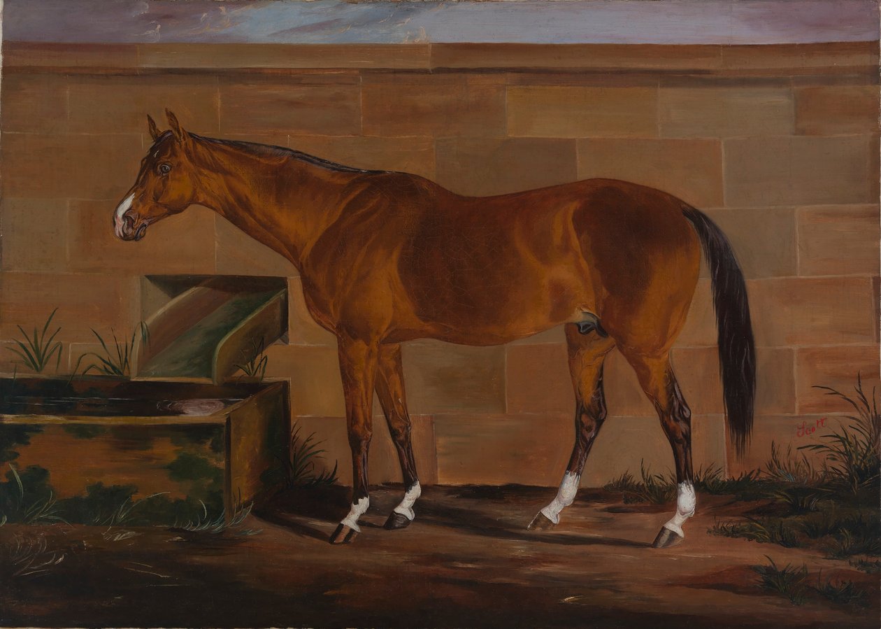 Ritratto di Lexington da Thomas J. Scott