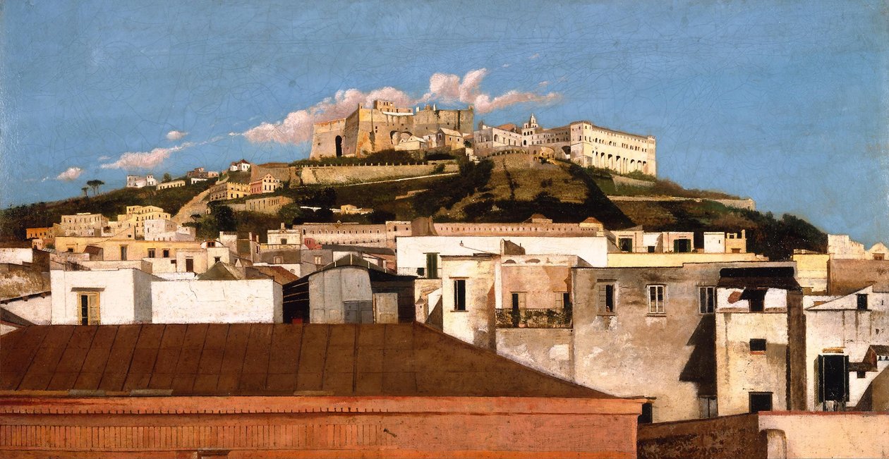 Veduta della Certosa di San Martino con Castel Sant