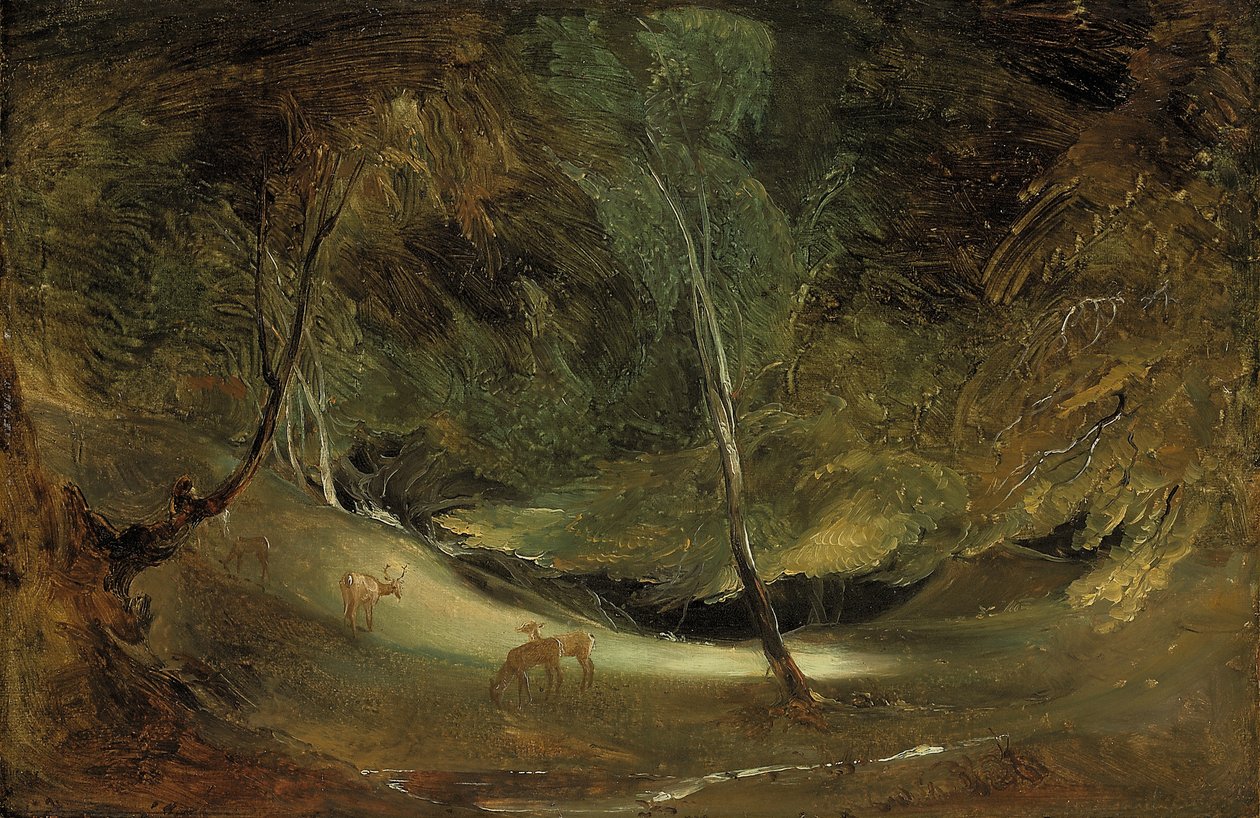 La Sorgente del Manifold a Ilam Park da Thomas Lawrence