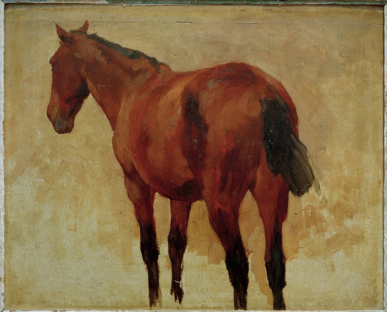 Studio di cavallo da Thomas Ludwig Herbst