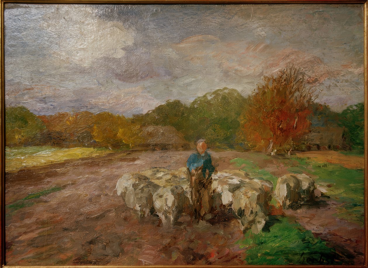 Gregge di pecore alla luce del sole da Thomas Ludwig Herbst