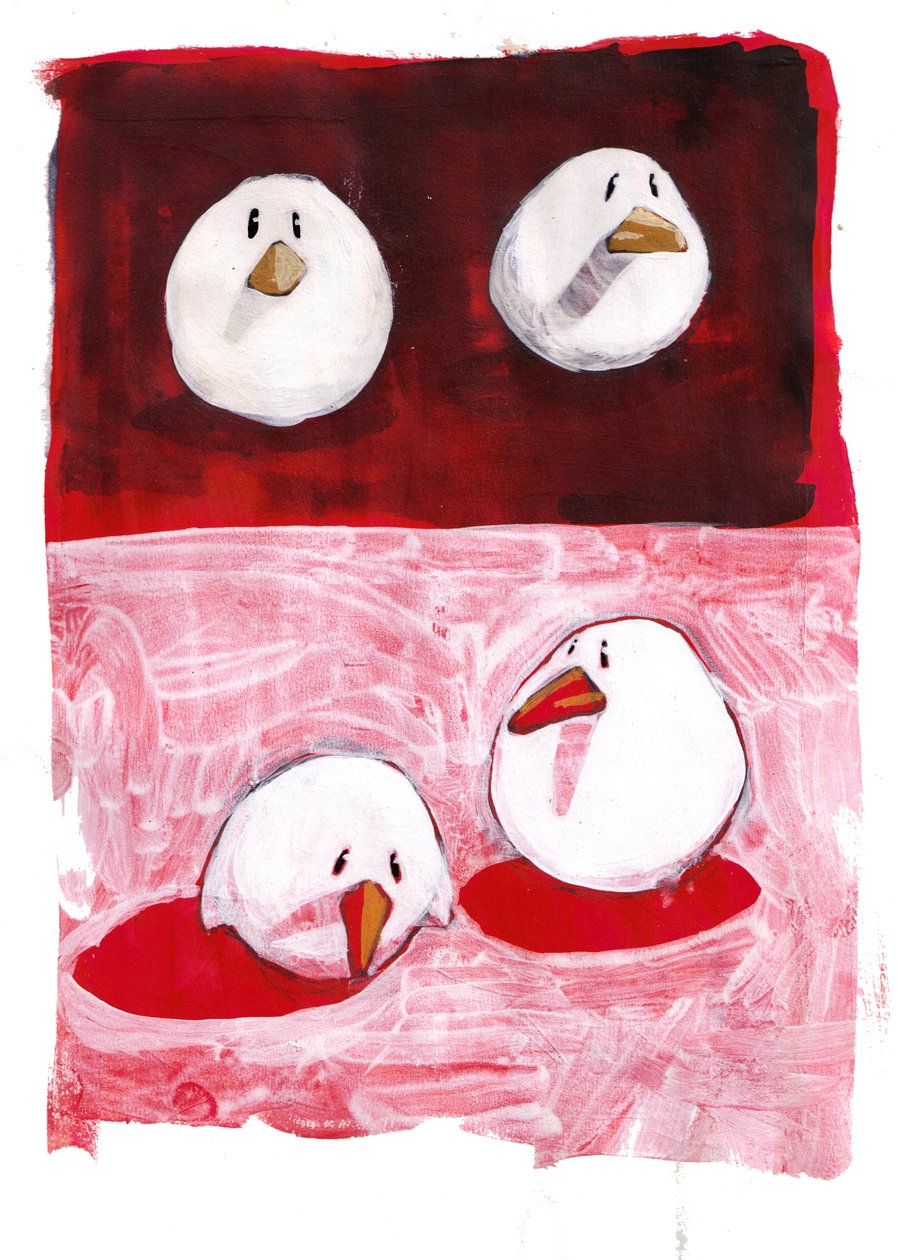 Uccelli in bianco e nero su rosso da Thomas MacGregor