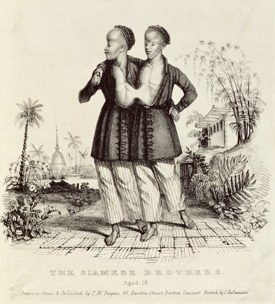 I fratelli siamesi, di 18 anni, stampato da Charles Hullmandel, c.1829 da Thomas Mann Baynes