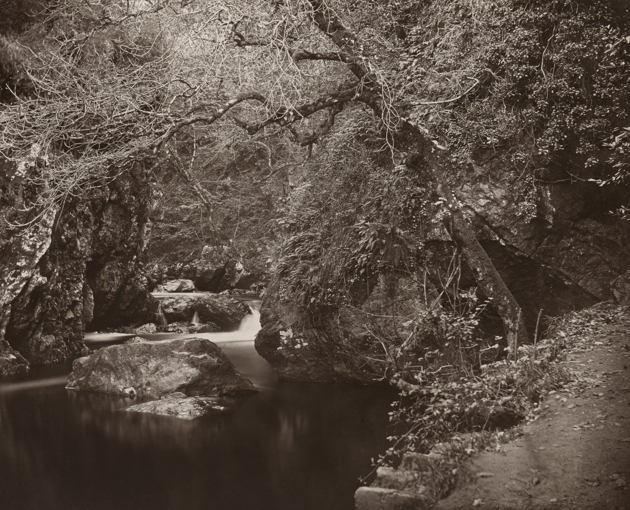 Il buco di Dargle, ca. 1865 da Thomas Marcus Brownrigg