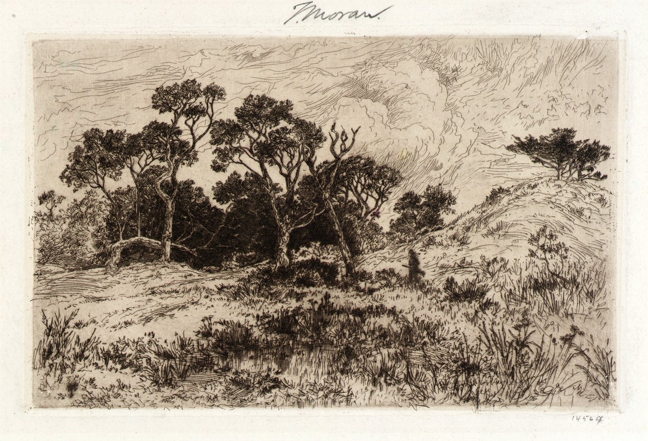 Un vento da sud da Thomas Moran