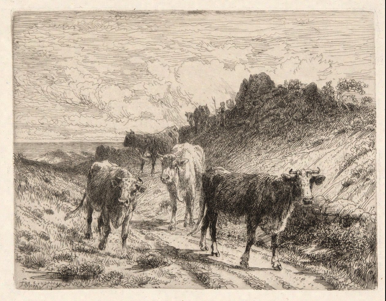 Mucche da Thomas Moran