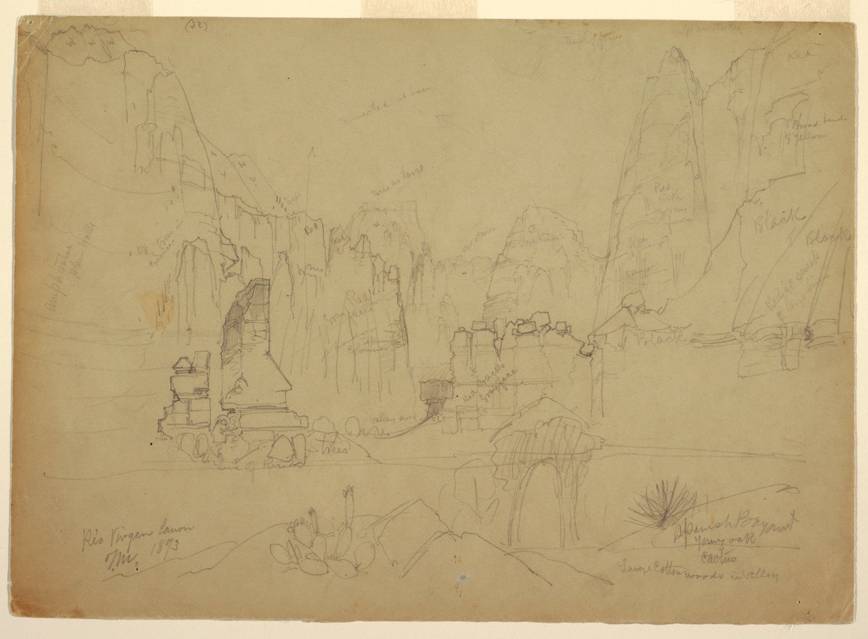 Disegno, Il Canyon del Rio Virgin, Utah meridionale, 1873 da Thomas Moran
