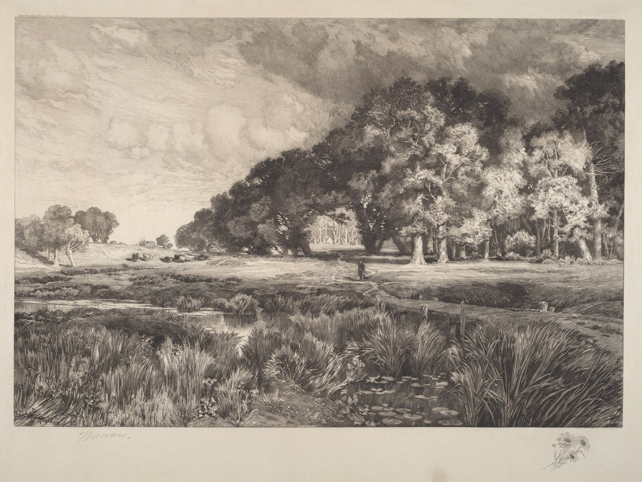 Paesaggio di Long Island da Thomas Moran