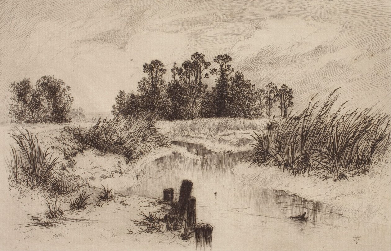 Paesaggio paludoso con ruscello da Thomas Moran