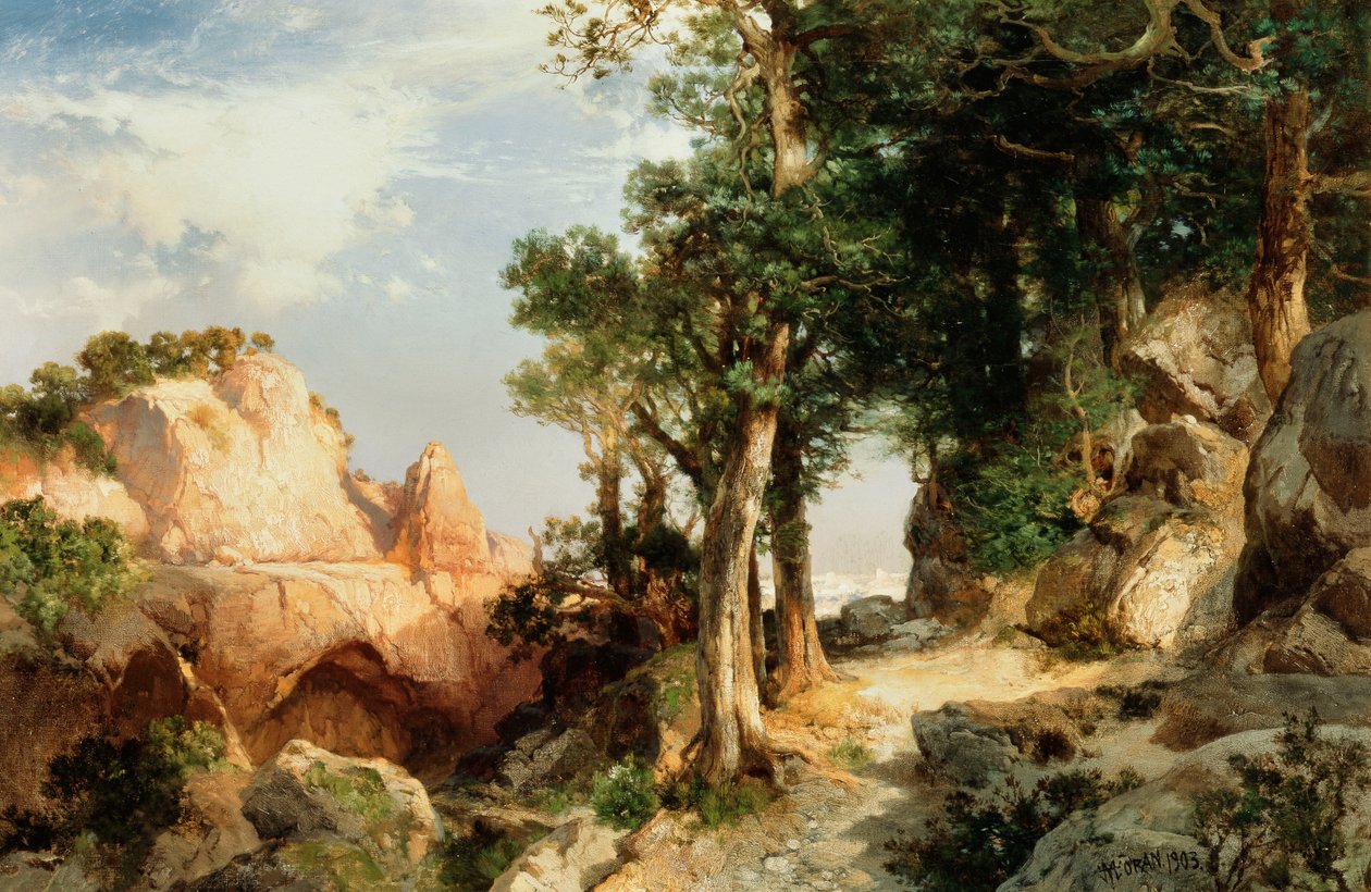 Sul Sentiero delle Bacche - Grand Canyon dell