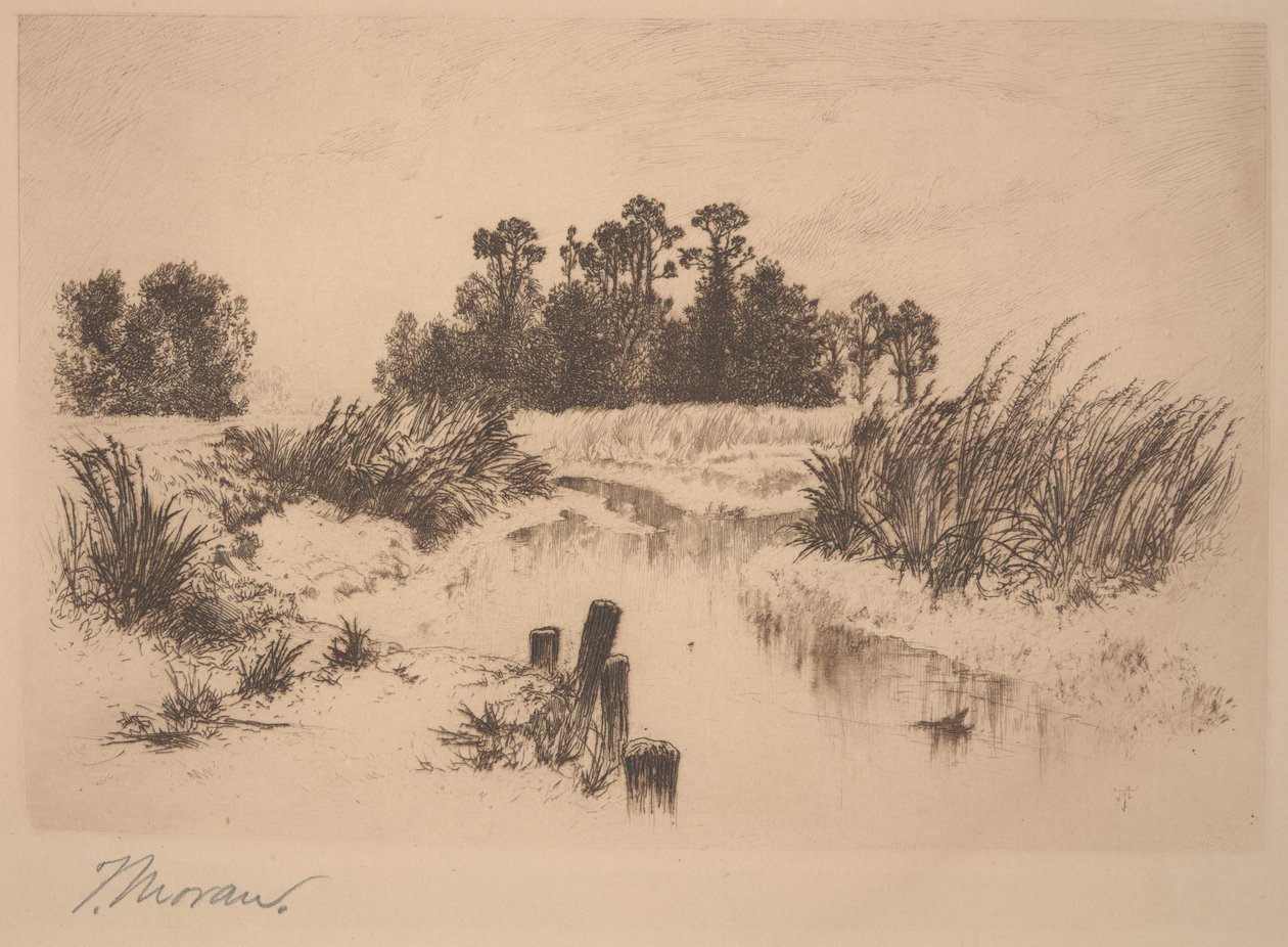 Prati di Passaic (Nei Prati di Newark) da Thomas Moran
