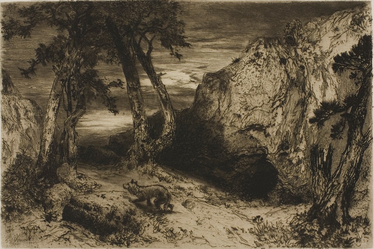 Il coyote - Arizona da Thomas Moran