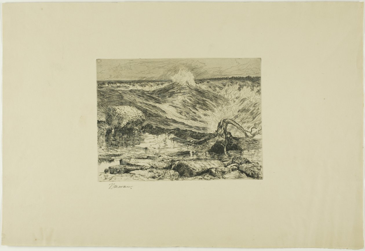 Le rapide sopra il Niagara da Thomas Moran