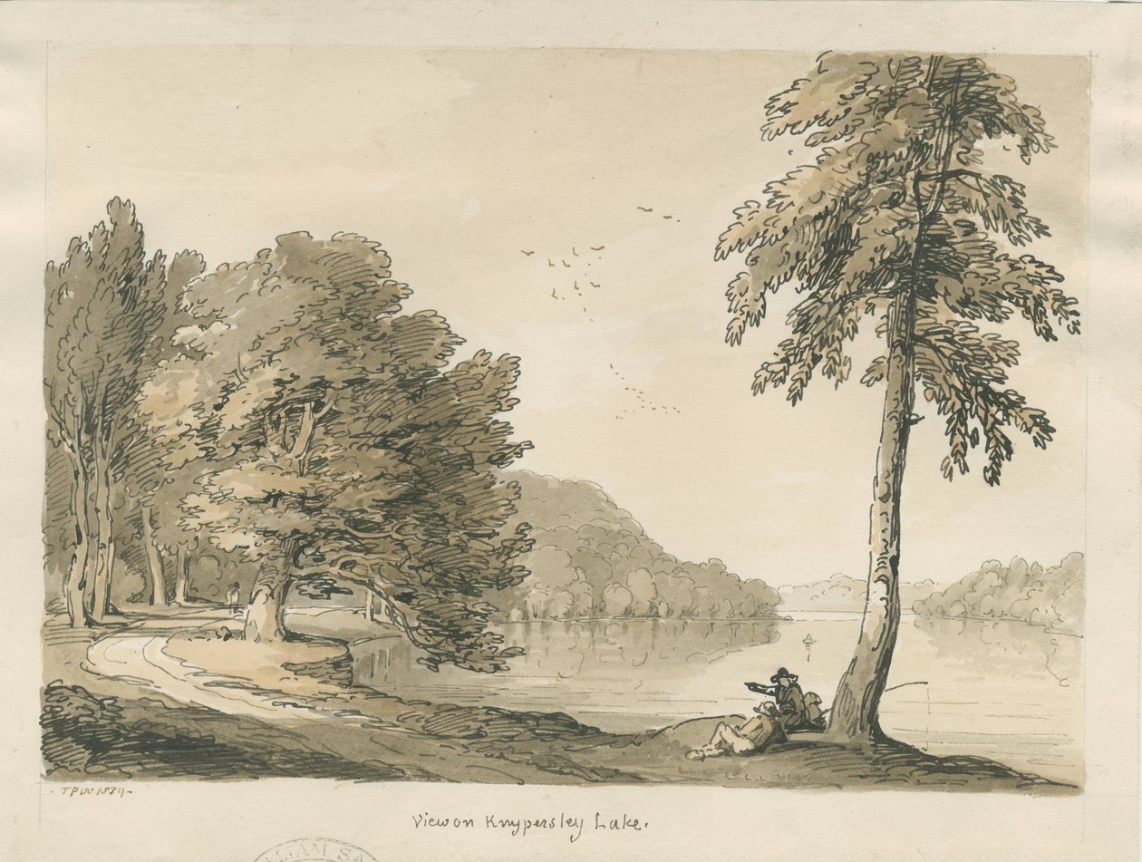 Biddulph Moor - Le Bride-Stones da Thomas Peploe Wood