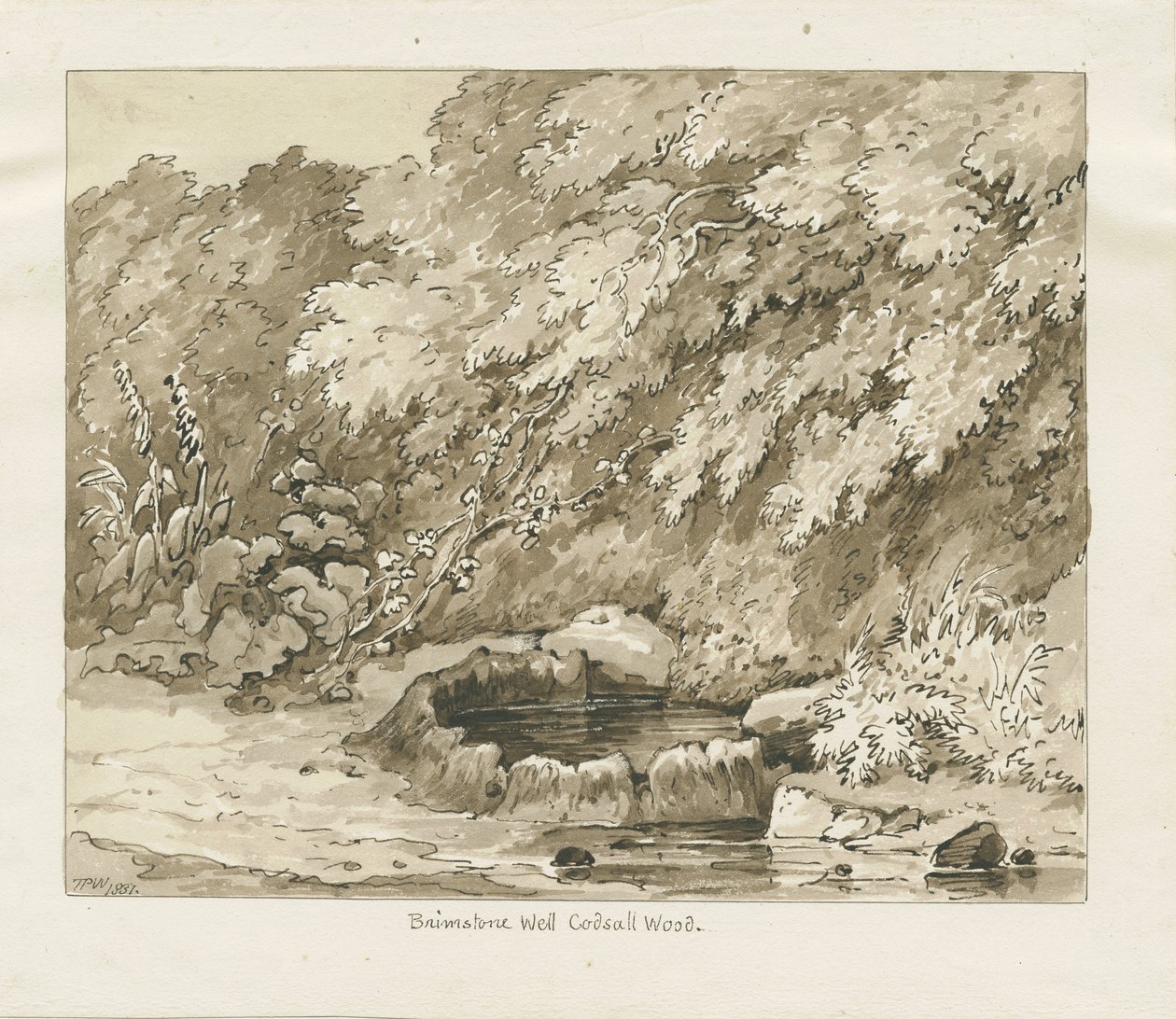 Codsall Wood - Pozzo di zolfo da Thomas Peploe Wood