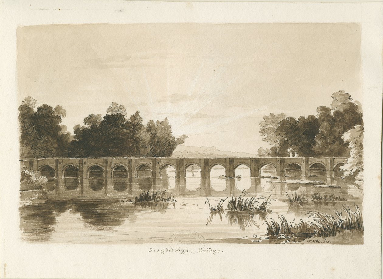 Ponte di Shugborough da Thomas Peploe Wood