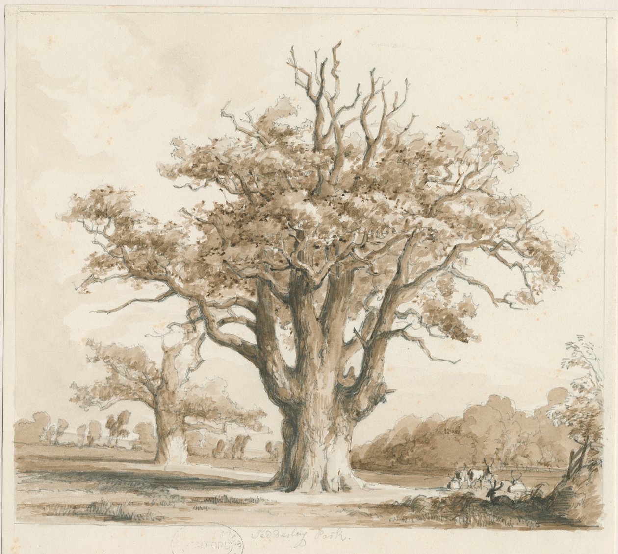 Teddesley Hall - Querce: disegno a matita e lavaggio, nd [Nov 1842] da Thomas Peploe Wood