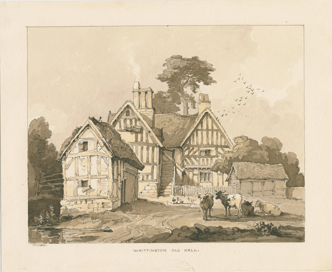 Whittington Hall da Thomas Peploe Wood