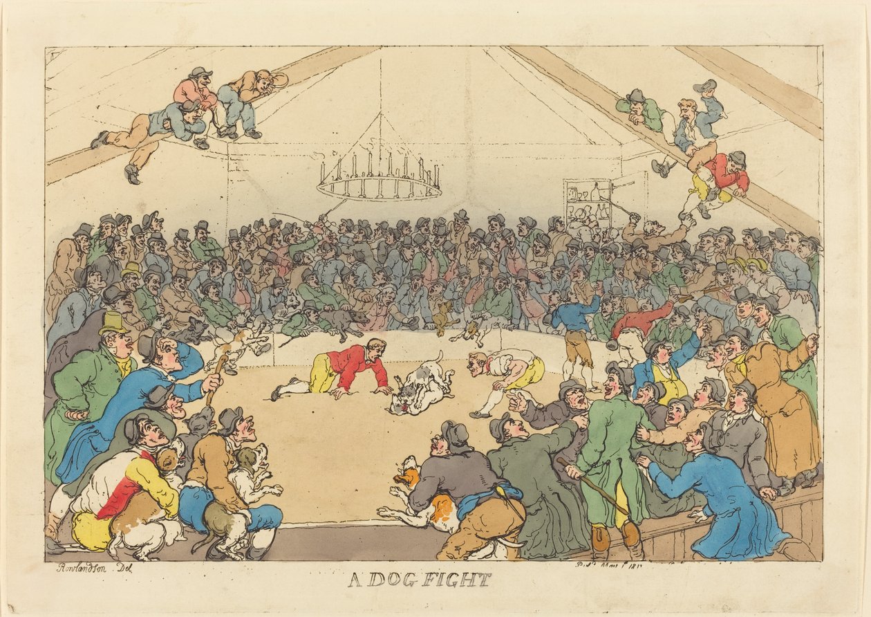 Una lotta tra cani da Thomas Rowlandson