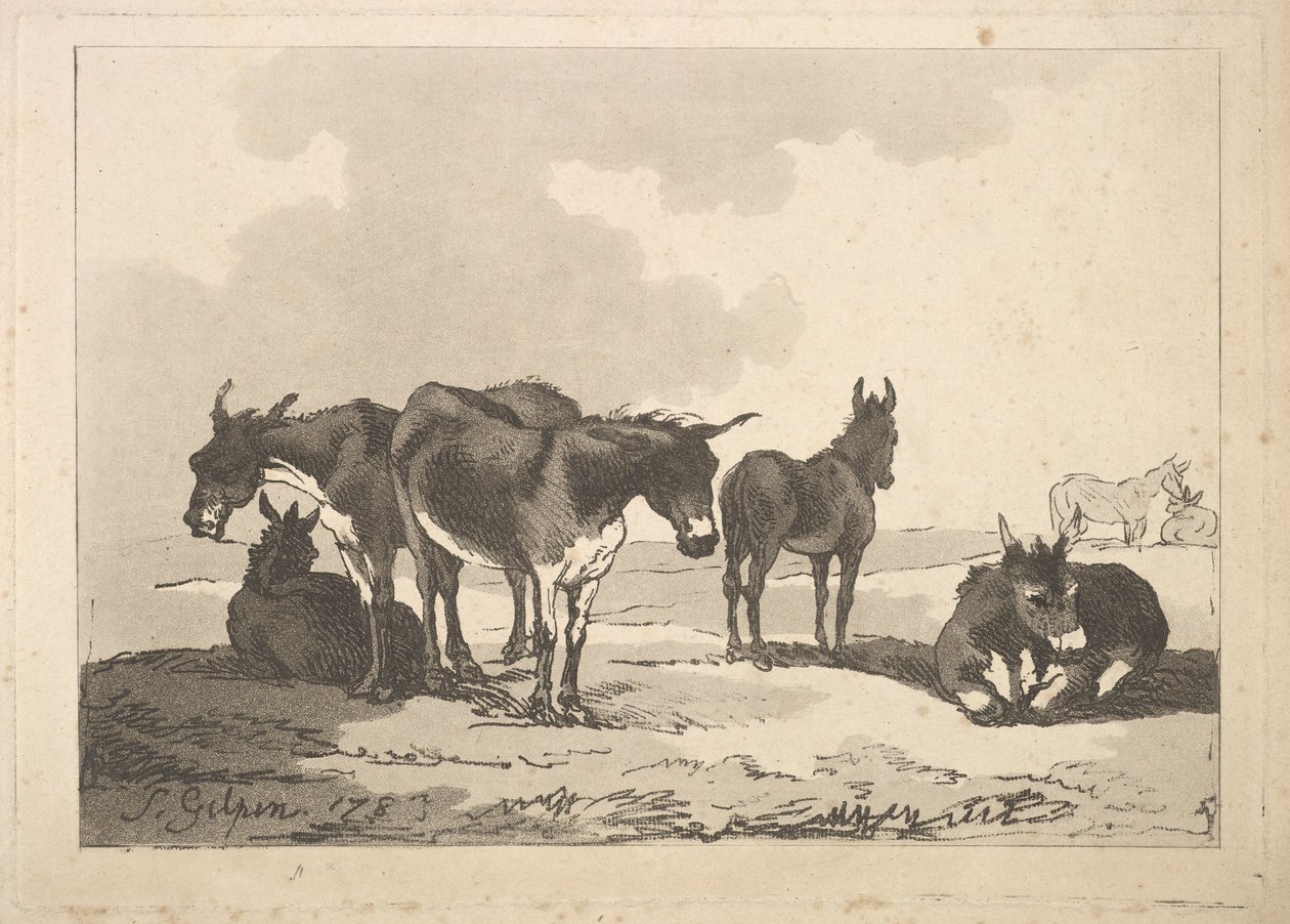 Un Gruppo di Cinque Asini, Tre in Piedi, Due Sdraiati da Thomas Rowlandson