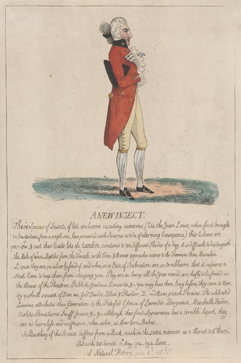 Un nuovo insetto da Thomas Rowlandson