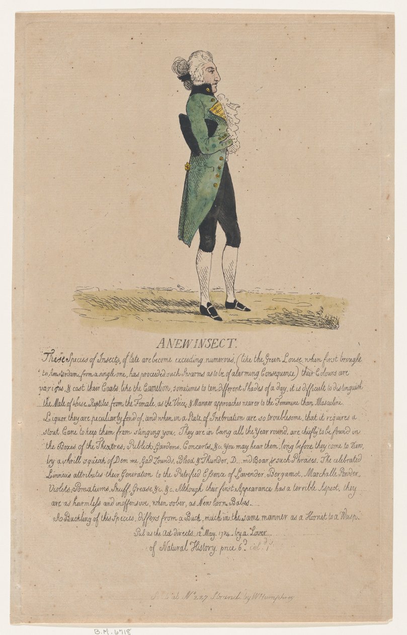 Un nuovo insetto, 12 maggio 1784 da Thomas Rowlandson