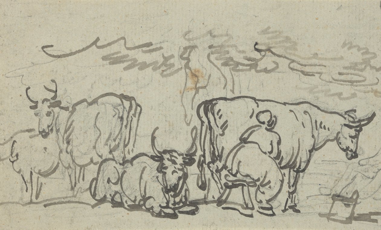 Disegno dell