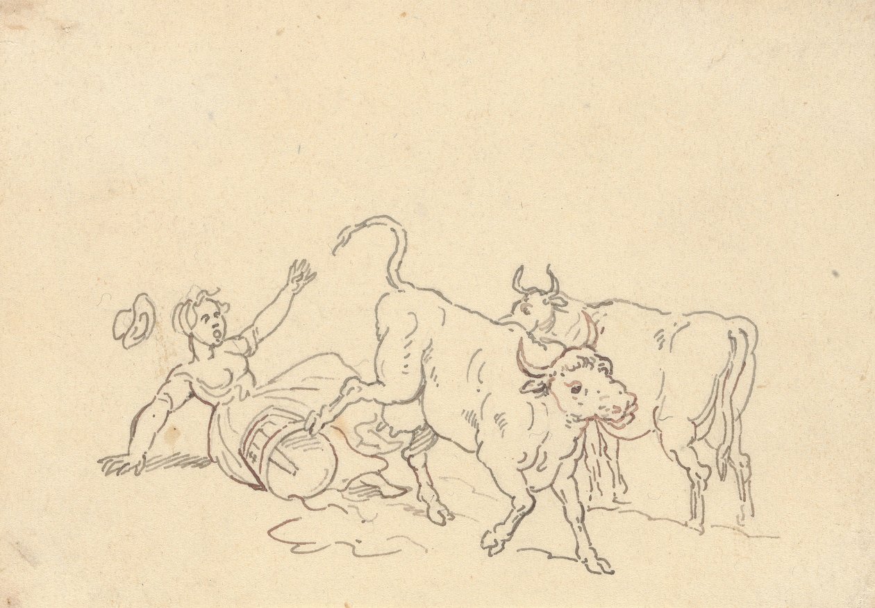 Disegno dell