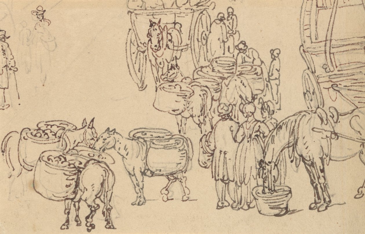 Disegno dell