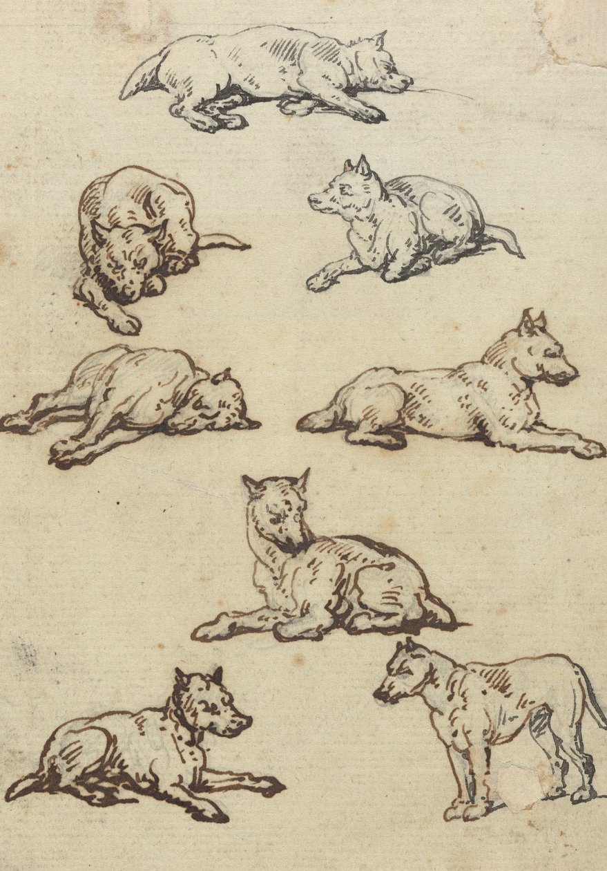 Disegno dell