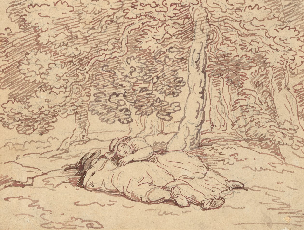 Disegno dell